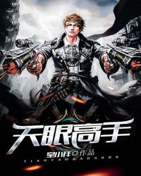 天眼高手封面