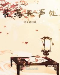 花落无声处封面