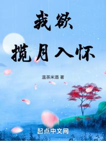 我欲九天揽月封面