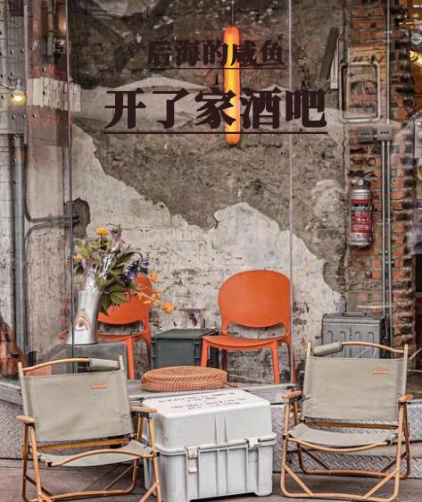 后海的咸鱼开了家酒吧封面