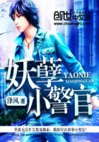 妖孽小警官封面