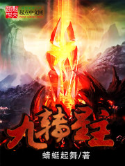 九转星主封面