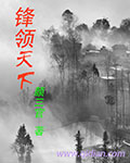 锋领天下封面
