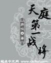 天庭第一战将封面