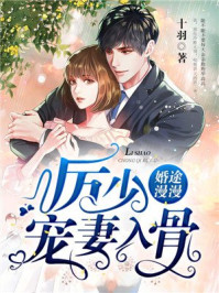 厉少宠妻入骨陆晚晚封面