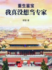 重生鉴宝:我真没想当专家封面