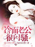 冷面老公很闷骚封面