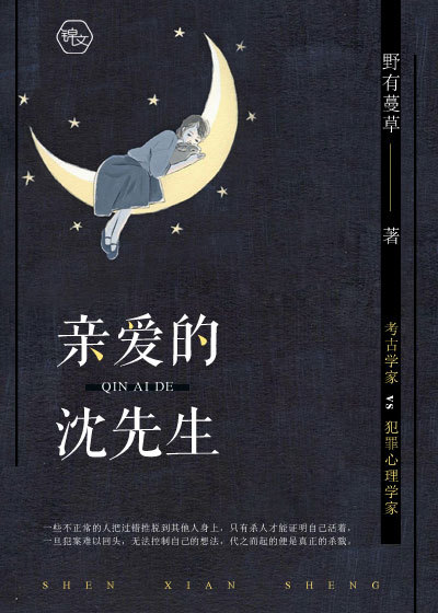 亲爱的沈先生封面