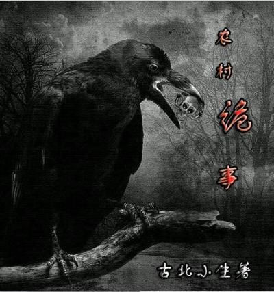 农村诡事封面