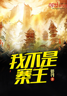 我不是寨主封面