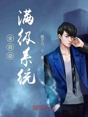 全自动满级系统封面