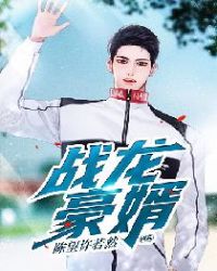 战龙豪婿封面