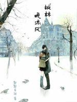 枫林晚沐风封面