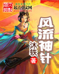 风流神针封面