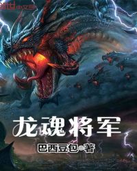 龙魂将军封面