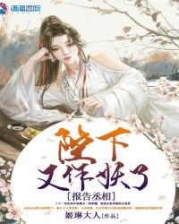报告丞相陛下又作妖了封面