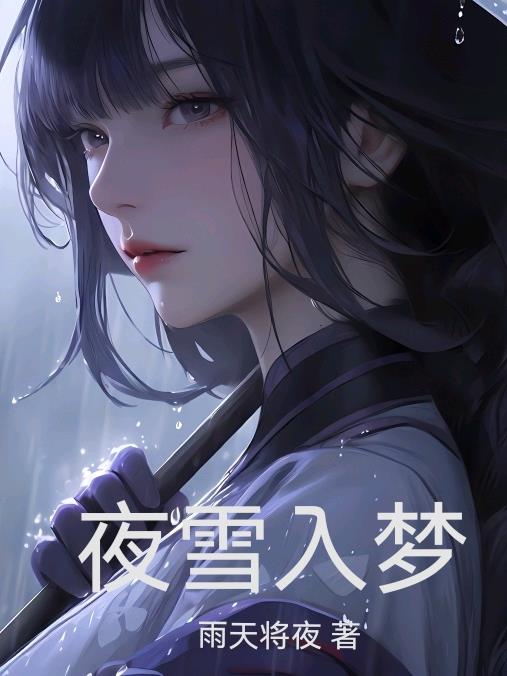 夜雪入梦封面