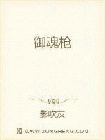 御魂枪封面