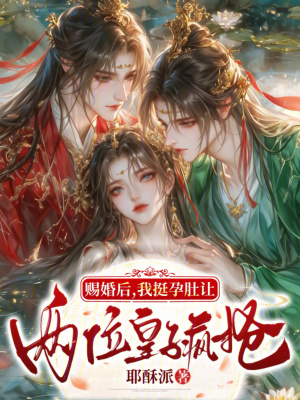 赐婚后，我挺孕肚让两位皇子疯抢封面