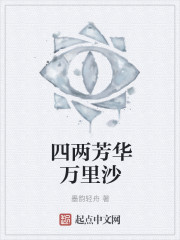 四两芳华万里沙封面