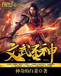 文武圣神封面