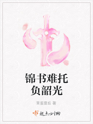 锦书难托负韶光封面