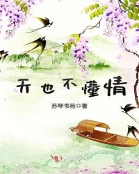 天也不懂情封面