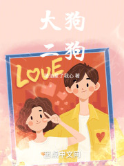 大狗二狗封面