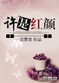 许是红颜封面