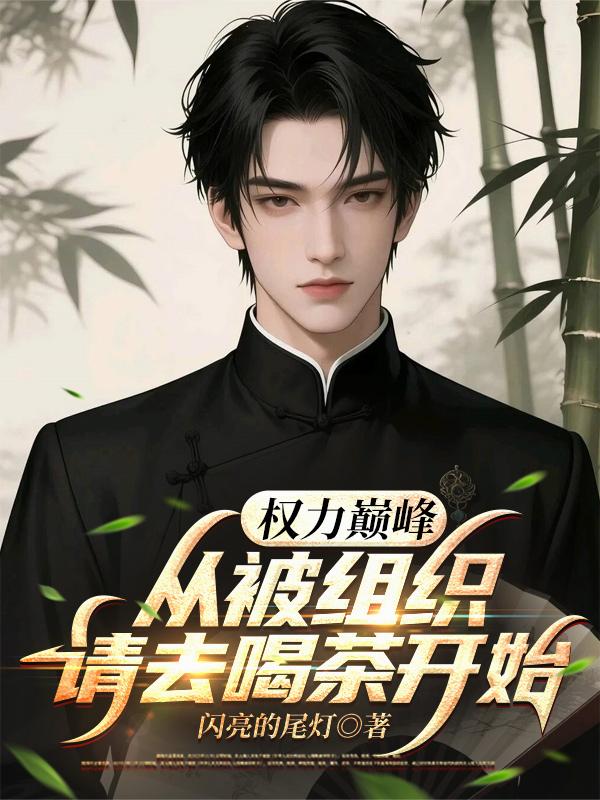 权力巅峰：从被组织请去喝茶开始封面