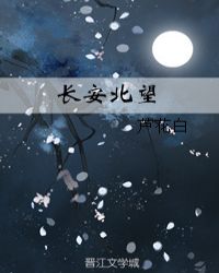 长安北望封面
