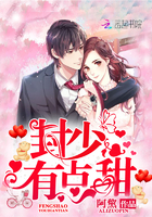 封少，有点甜！封面