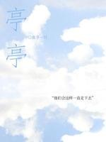 亭亭封面