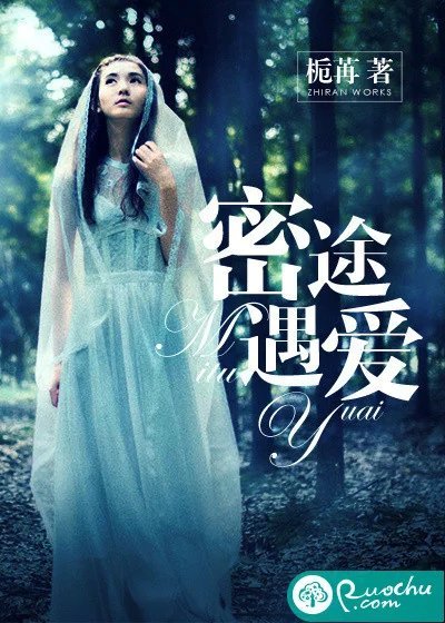 密途遇爱封面