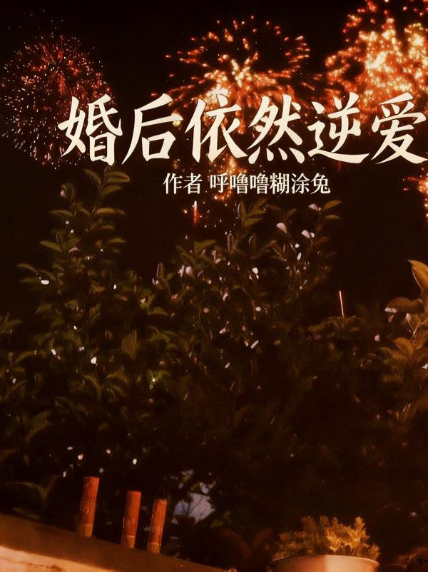 婚后依然逆爱封面
