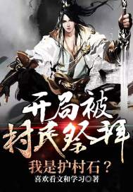 开局被村民祭拜，我是护村石？封面