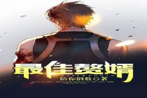 最佳女婿(最佳赘婿)封面