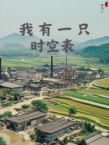 我在1980年搞开发封面