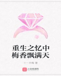 重生之忆中梅香飘满天封面