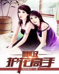 神级护花高手封面