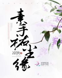 素手佑尘缘封面