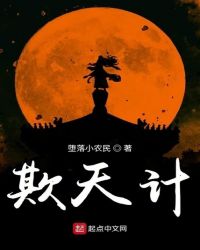 欺天计封面