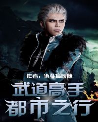 武道高手都市之行封面
