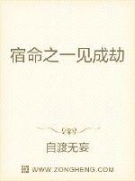 宿命之一见成劫封面