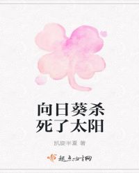 向日葵杀死了太阳封面