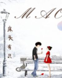 隔壁有只猫封面