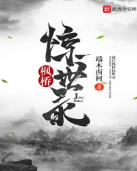 枫桥惊世录封面