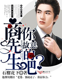 商先生,你故意的吧?封面