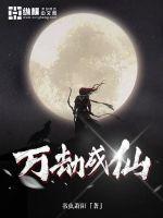 万劫成仙封面