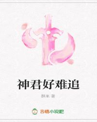 神君好难追封面